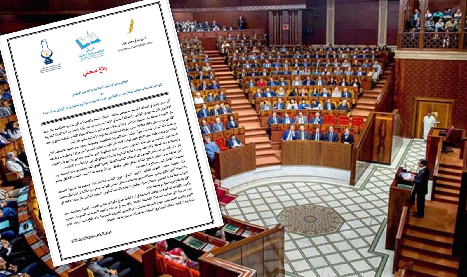 مطالب بتشكيل لجنة لتقصي الحقائق حول دعم المواشي