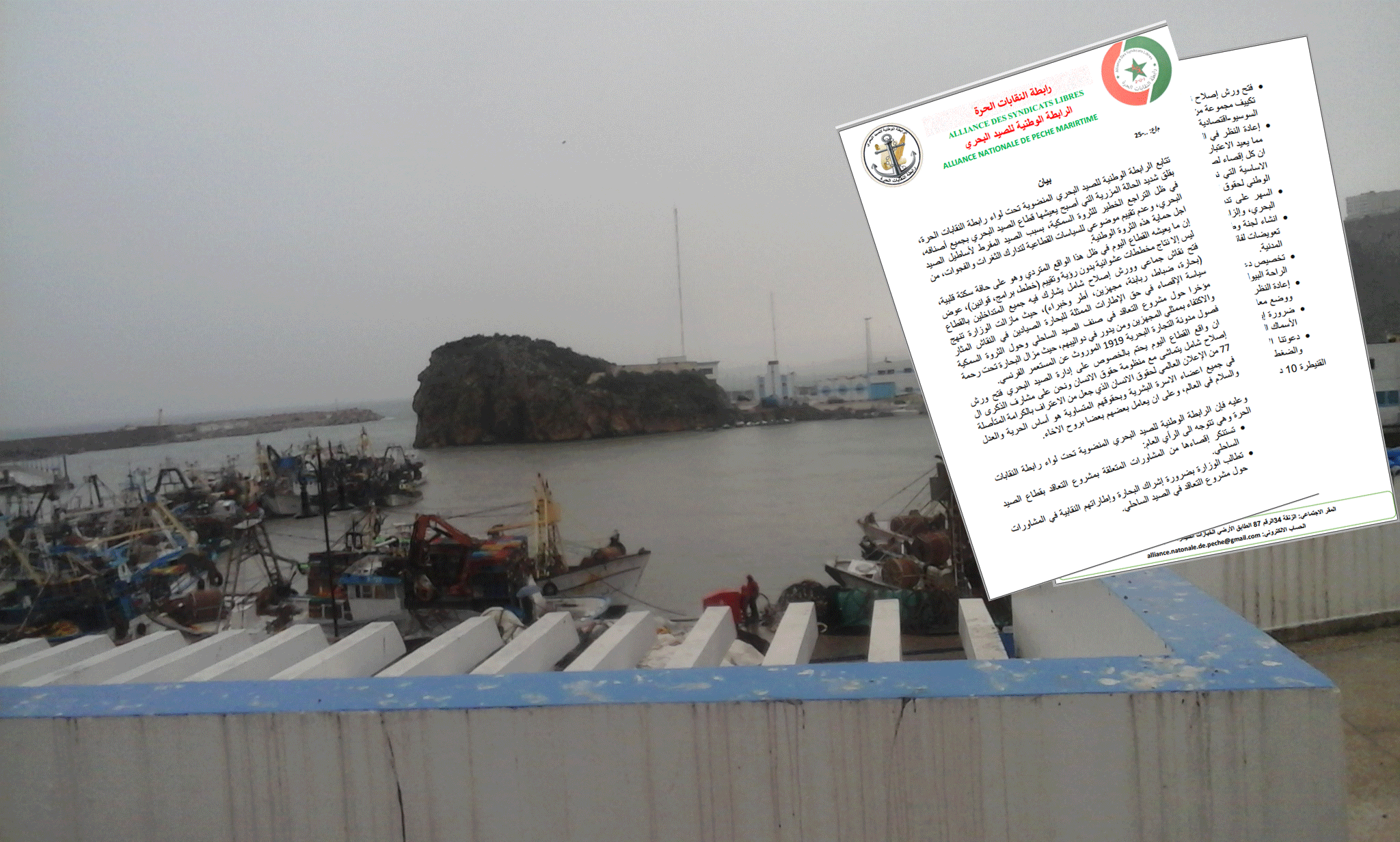 إقصاء الرابطة الوطنية للصيد البحري من المشاورات:استنكار واسع و مطالب بإصلاح شامل للقطاع
