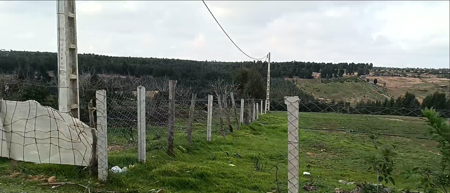 عامر السفلية.. تعاونيات غابوية تحتضر وفعاليات مجتمع مدني تطالب بإنصاف المنطقة.