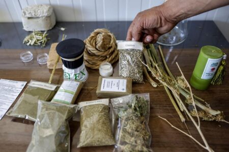 قفزة كبيرة في إنتاج القنب الهندي القانوني بشفشاون خلال 2025.. أرقام قياسية وعدد الفلاحين يرتفع